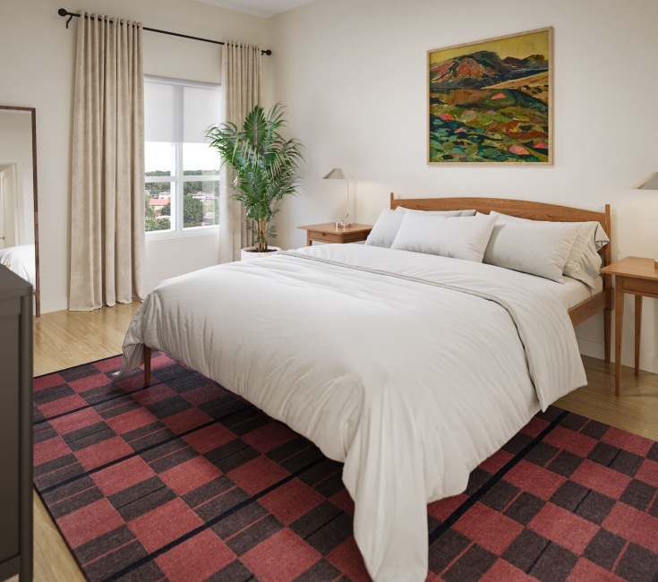 bedroom with spacious areas